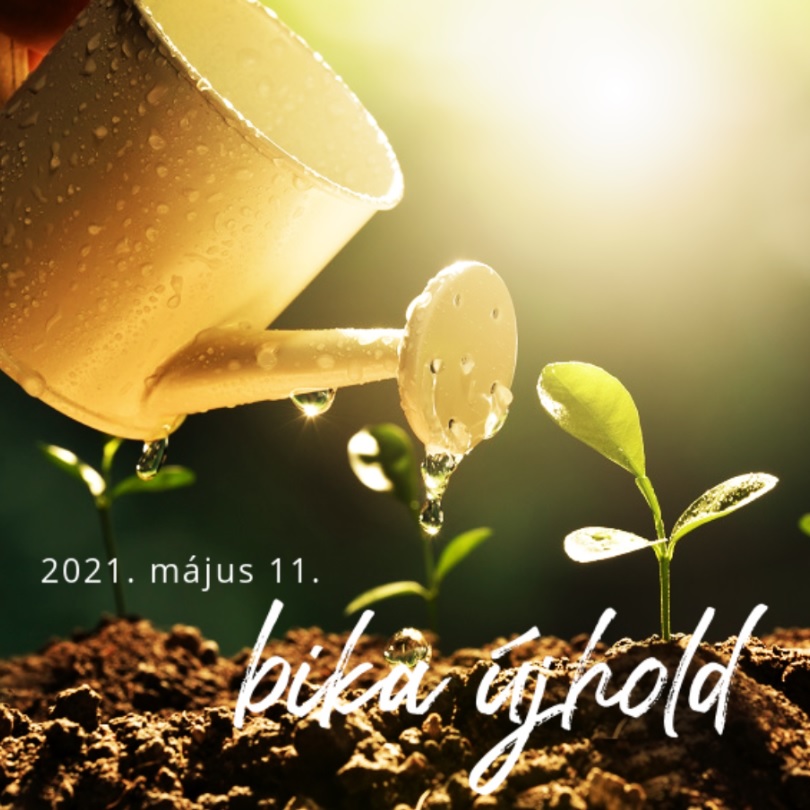 bika ujhold 2021 majus 11 karma asztrologia letay adrienn